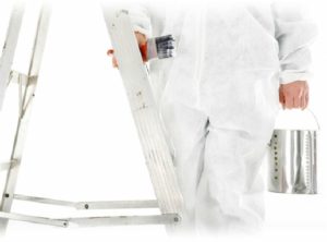 Professional painters